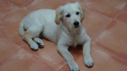 Lola en casa Lola en casa